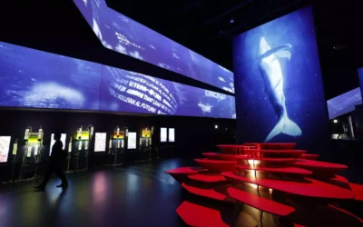 Japón gana peso en el proyecto del IFMIF Dones: el país formará a expertos que luego vendrán a Granada