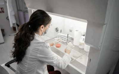 Andalucía convoca ayudas para financiar ocho proyectos de ciencia ciudadana que aborden retos de I+D y sociales