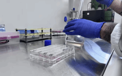 Andalucía cuenta con más de 33.000 personas dedicadas a la ciencia, «la mayor plantilla de su historia»