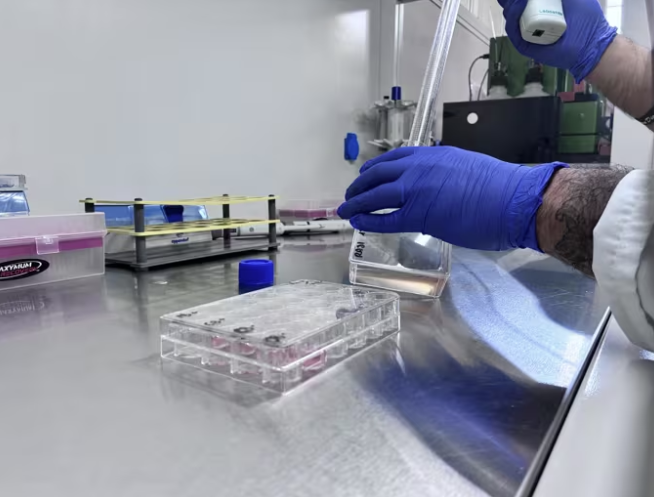 Andalucía cuenta con más de 33.000 personas dedicadas a la ciencia, «la mayor plantilla de su historia»