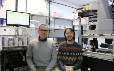 Una técnica creada en la UGR acelera el montaje de nanomateriales y permite diseñarlos a la carta