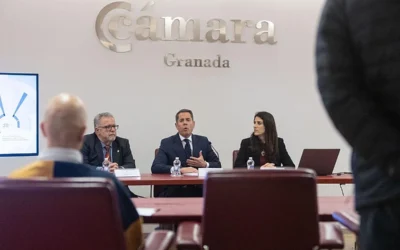 El retrato de las empresas de Granada: pequeñas, buenas en lo suyo y resignadas