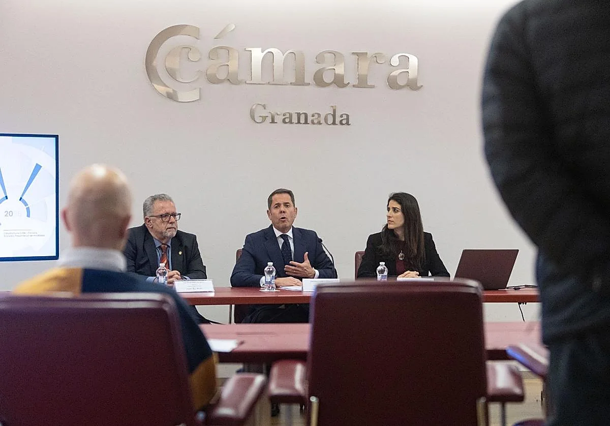 El retrato de las empresas de Granada: pequeñas, buenas en lo suyo y resignadas